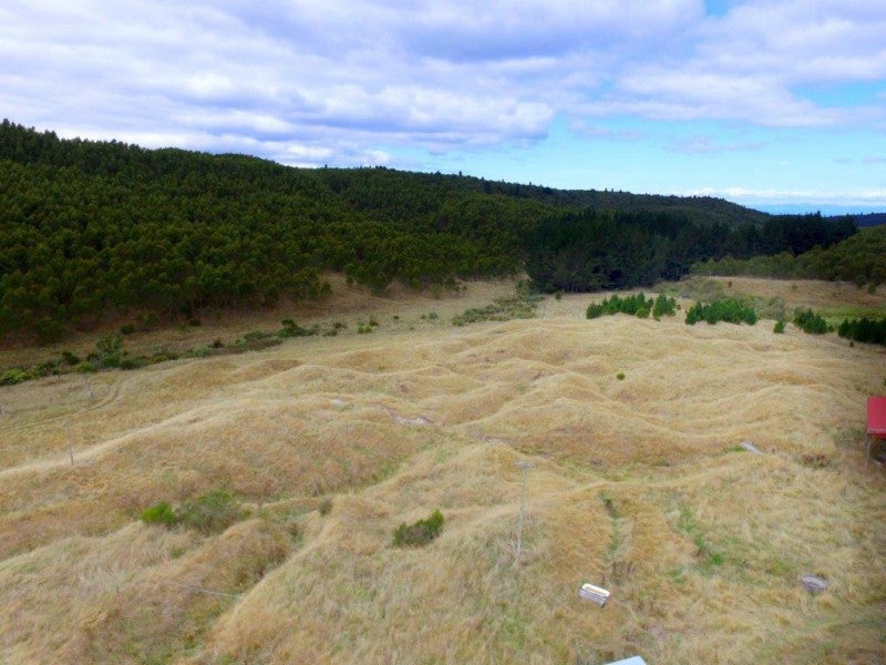 289 Puketapu Road, Mangakino - Carousel 2