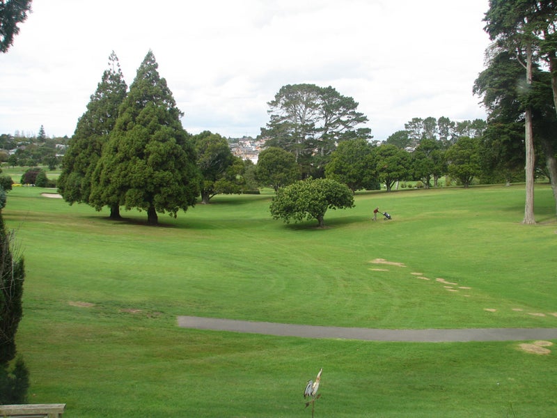 1446A Dominion Road, Mount Roskill, Auckland - Carousel 2