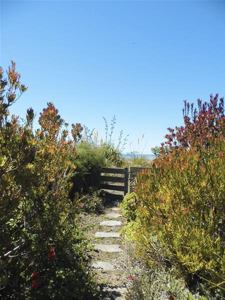 174 Rarangi Beach Road, Rarangi - Carousel 20