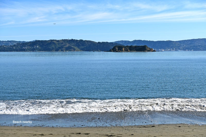 25 Hinau Street, Eastbourne, Lower Hutt - Carousel 20