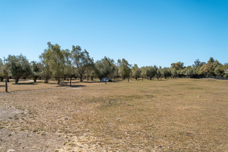 25 Loop Line, Masterton - Carousel 20