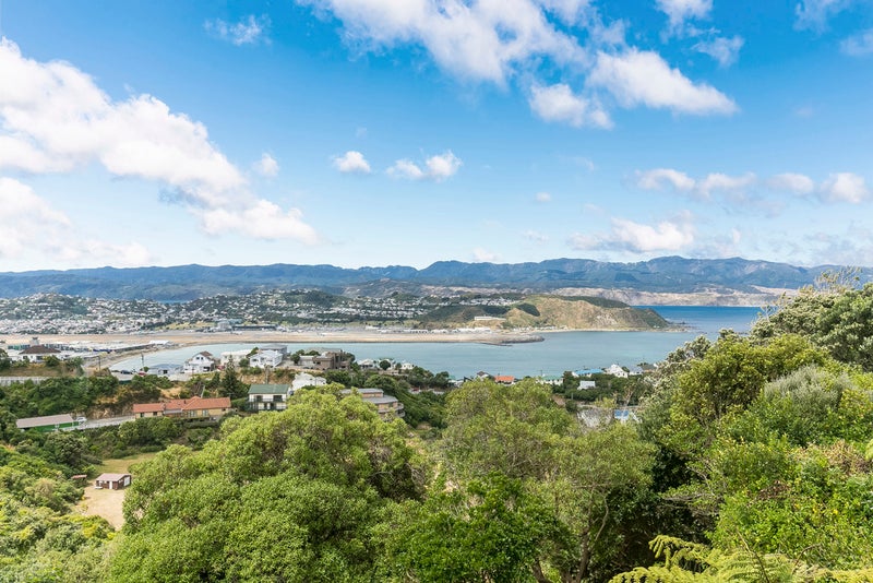 41 Buckley Road, Southgate, Wellington - Carousel 2