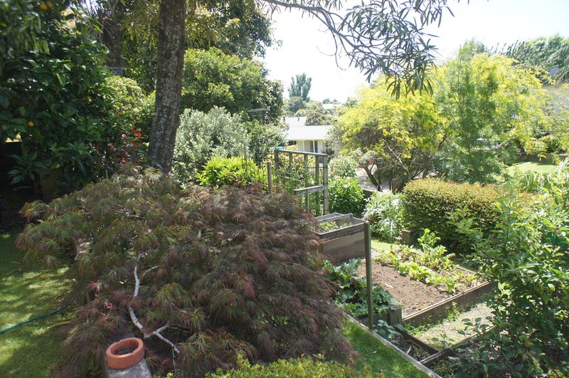 6 Valintine Place, Strandon, New Plymouth - Carousel 15