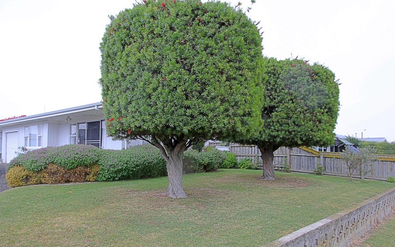 39 Bristol Street, Tamatea, Napier - Carousel 13