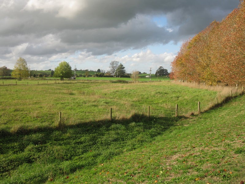 12 Duncan Road, Ngahinapouri - Carousel 2