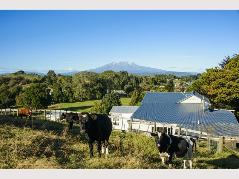 0 Hukaroa Road, Raetihi, Raetihi - Carousel 26