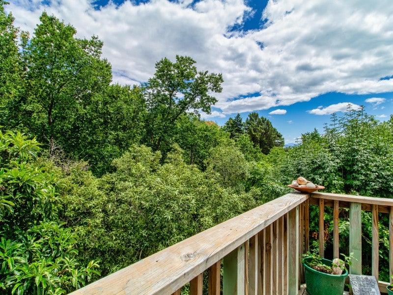 25 Burns Road, Hospital Hill, Napier - Carousel 2