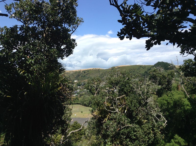 11 Taraire Street, Ostend, Waiheke Island - Carousel 1