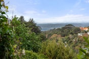 8 Northland Road, Northland, Wellington, Wellington