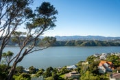 154 Grafton Road, Roseneath, Wellington, Wellington