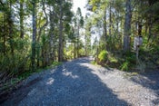15 Te Aute Ridge Road, Waitakere, Waitakere City, Auckland