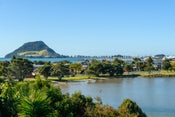 100 Maxwells Road, Otumoetai, Tauranga, Bay Of Plenty