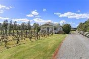 49 Oxford Street, Martinborough, South Wairarapa, Wellington