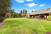339 Hautapu Road, Tamahere, Waikato, Waikato
