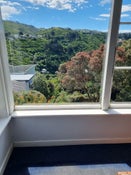 Mornington, Wellington, Wellington