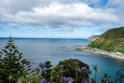 28 Welland Place, Island Bay, Wellington, Wellington