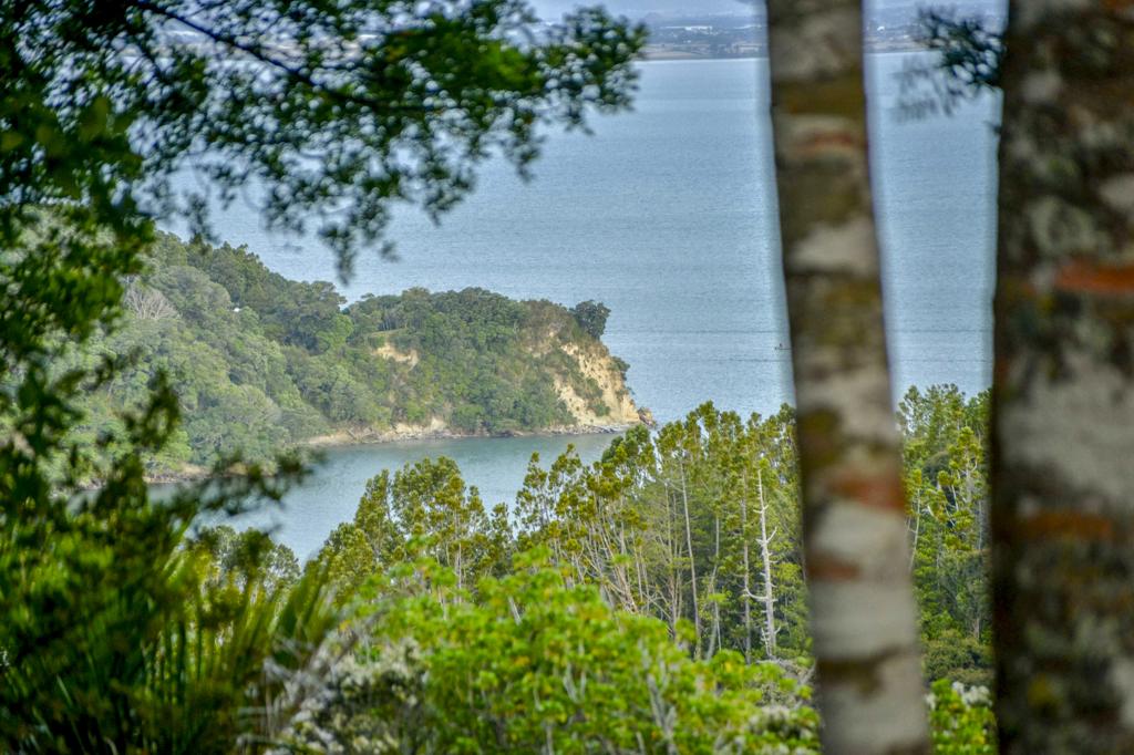 41 Tane Road, Laingholm, Auckland - Carousel 20