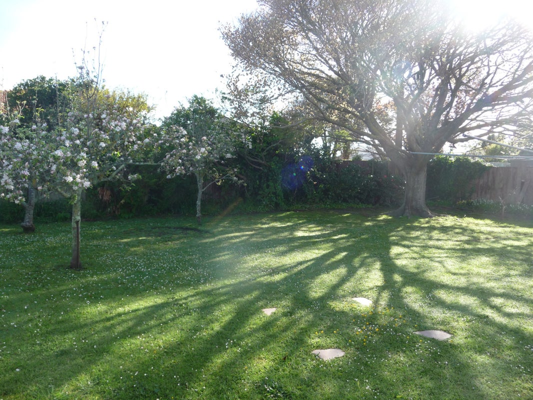 33 Maxwell Avenue, Durie Hill, Whanganui - Carousel 9