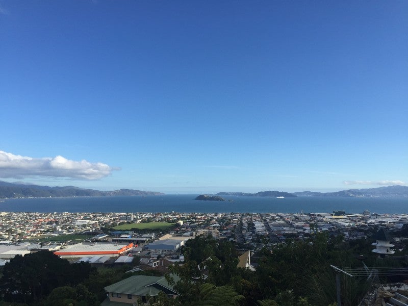 52 Mulberry Street, Maungaraki, Lower Hutt - Carousel 2