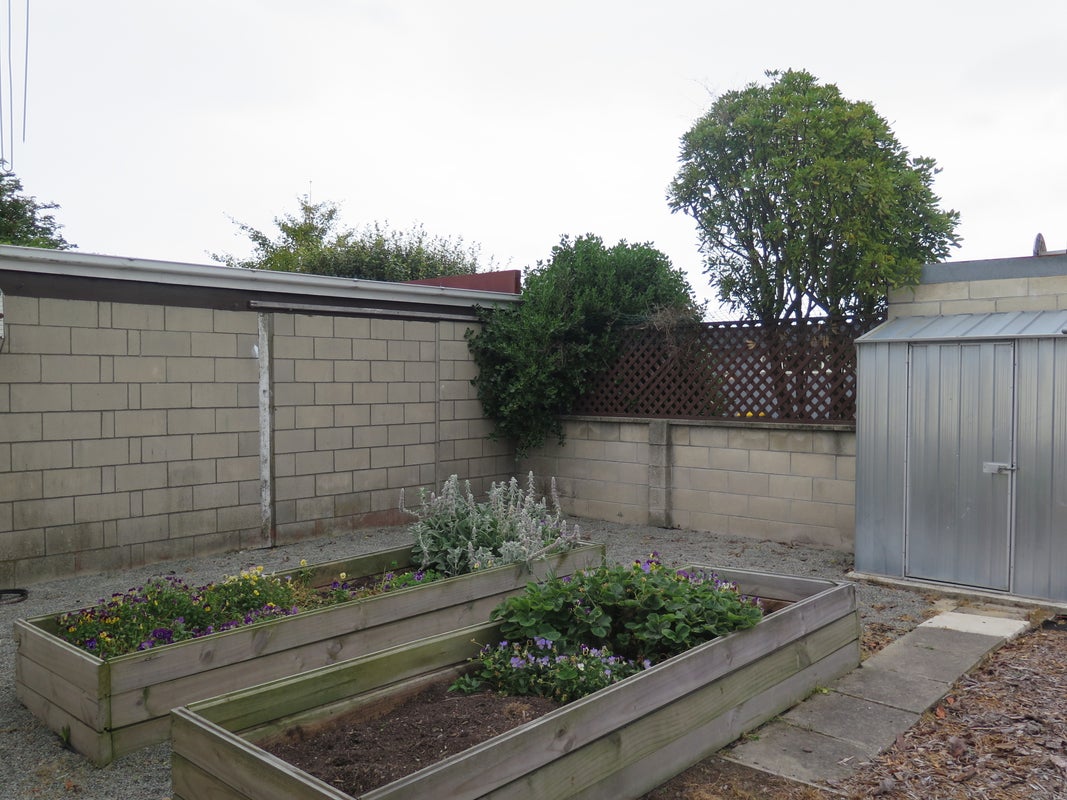 2/6 Harborough Street, Watlington, Timaru - Carousel 19