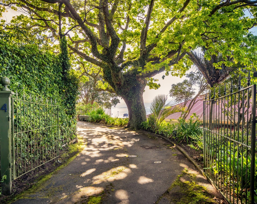 4 Goldies Brae, Thorndon, Wellington - Carousel 19