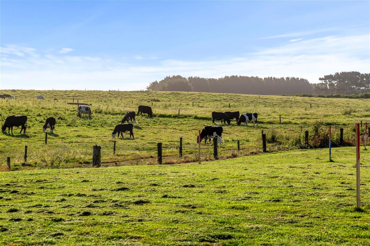 22C Larlin Drive, Hawera - Carousel 2