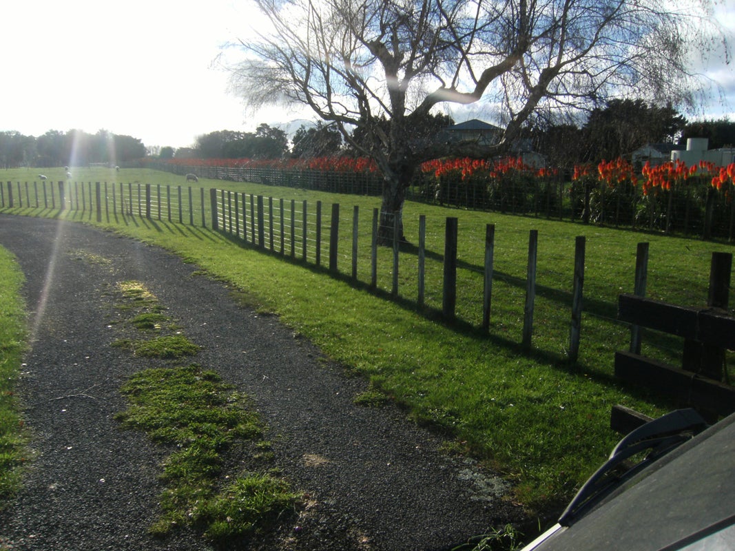 52 Watt Livingstone Road, Westmere, Whanganui - Carousel 2