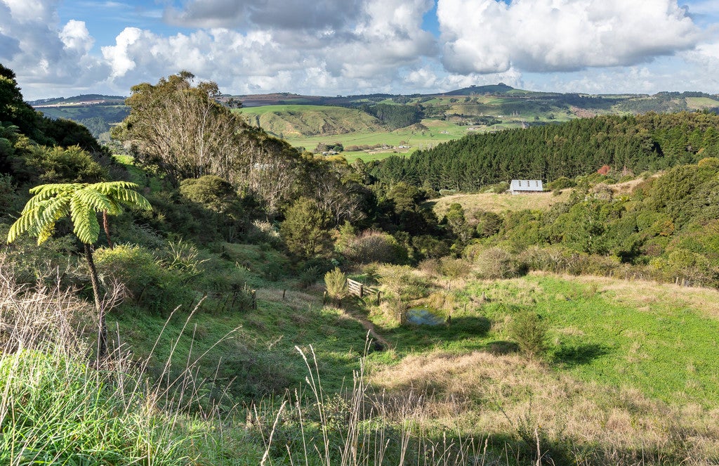 173A Onewhero-Tuakau Bridge Road, Tuakau - Carousel 12