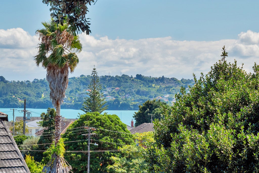9A Scott Avenue, Mangere Bridge, Auckland - Carousel 26