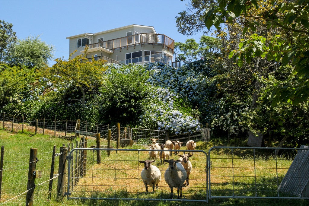 181 Egmont Road, Hillsborough, New Plymouth - Carousel 1