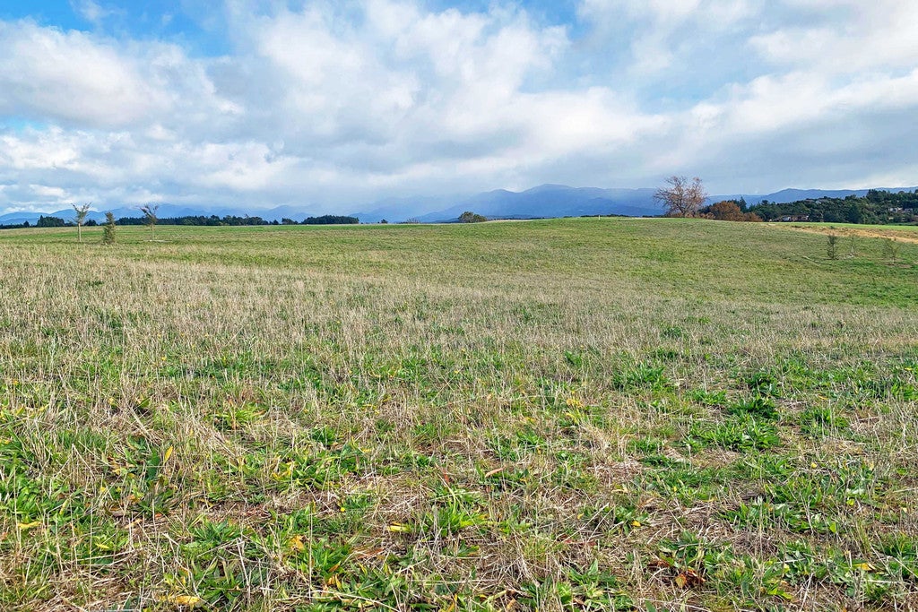 8 Te Papa Lane, Upper Moutere - Carousel 1