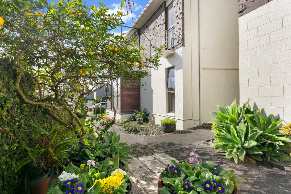 28A King Edward Avenue, Epsom, Auckland - Carousel 1