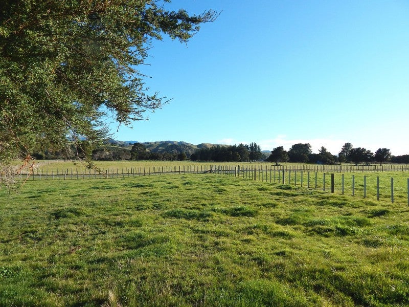 400 Wiltons Road, West Taratahi - Carousel 2