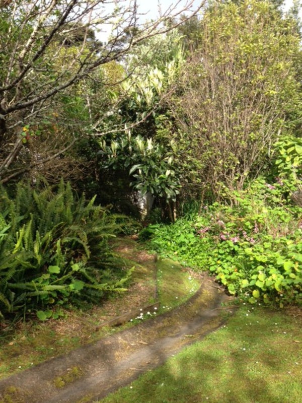 17 Albert Crescent, Ostend, Waiheke Island - Carousel 1