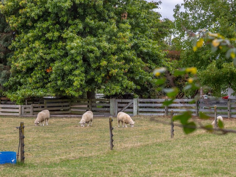 107 Pembroke Street, Carterton - Carousel 20