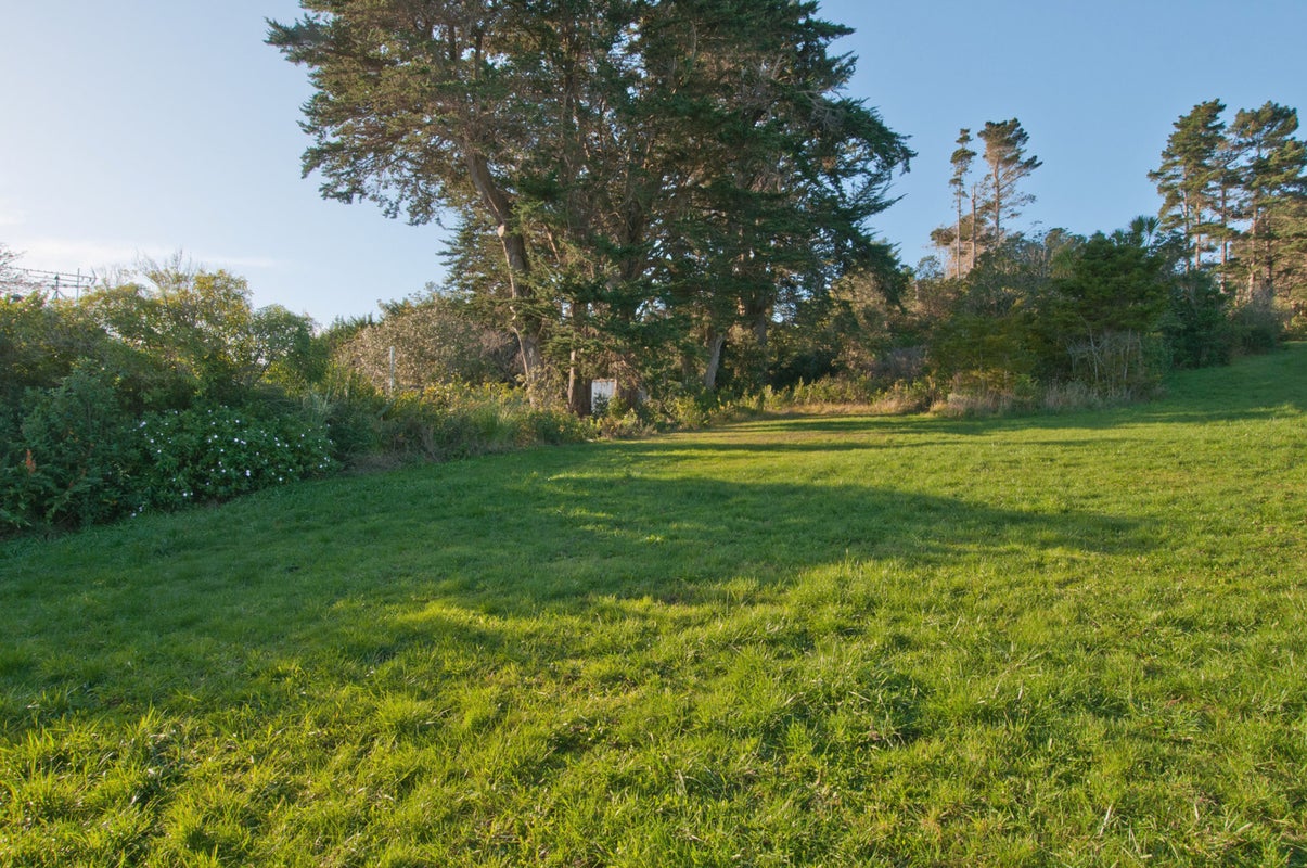 418 Sea View Road, Onetangi, Waiheke Island - Carousel 2