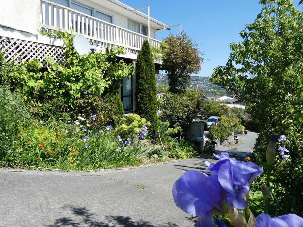19 Conifer Place, Huntsbury, Christchurch - Carousel 2