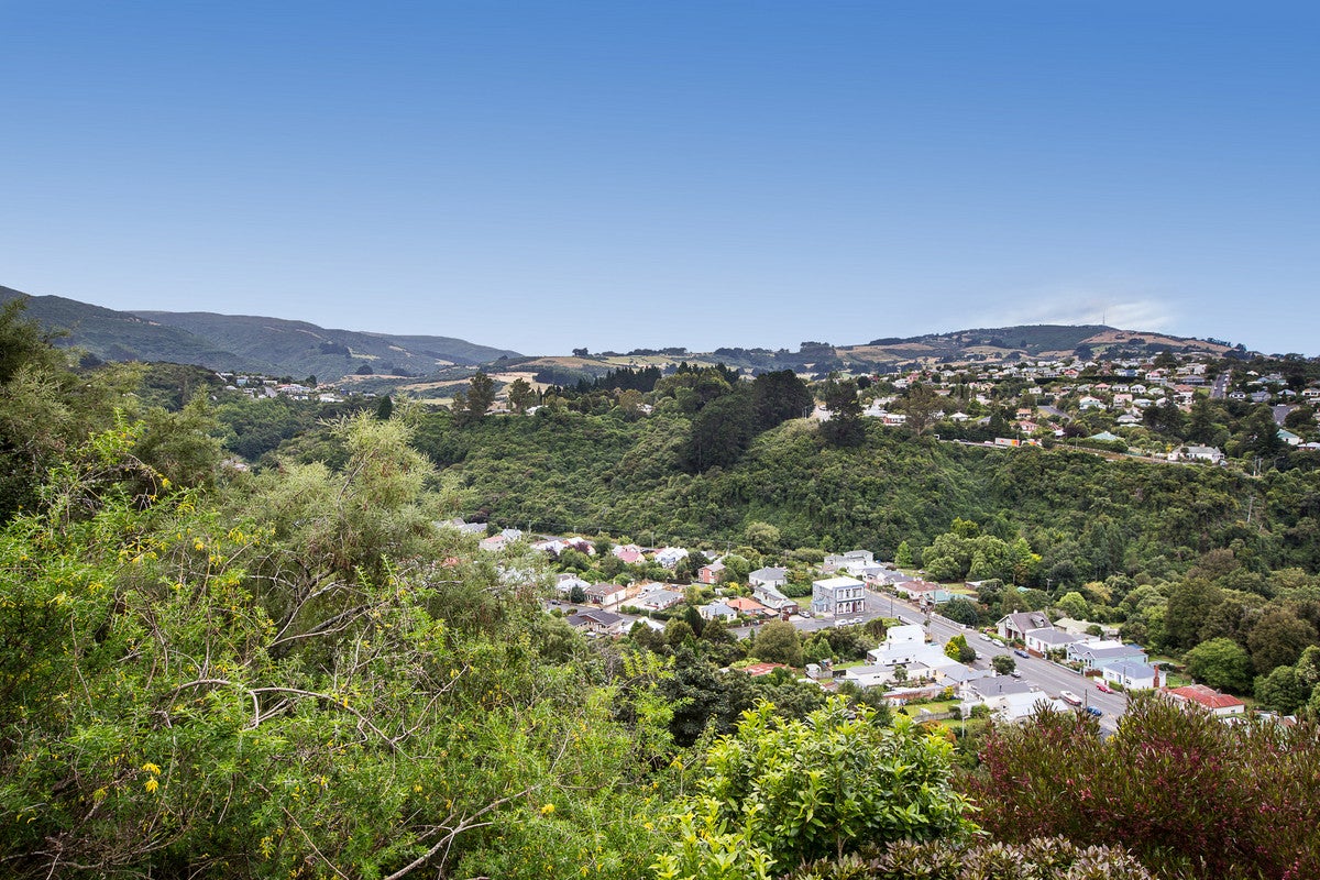 6D Dudley Place, Maori Hill, Dunedin - Carousel 18