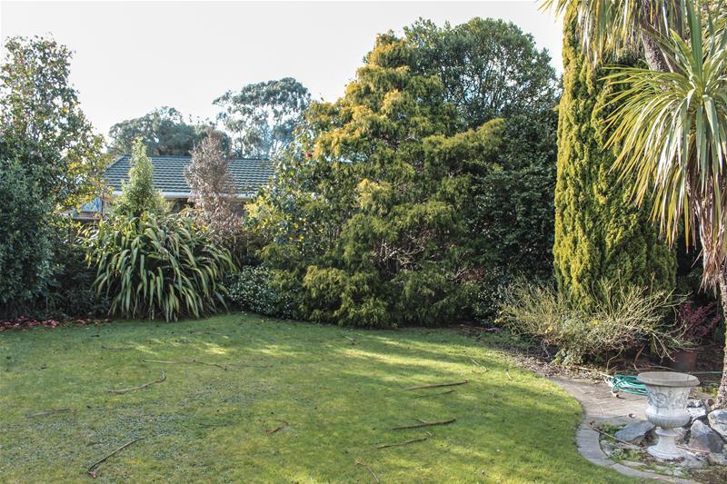 13A Martin Terrace, Witherlea, Blenheim - Carousel 20