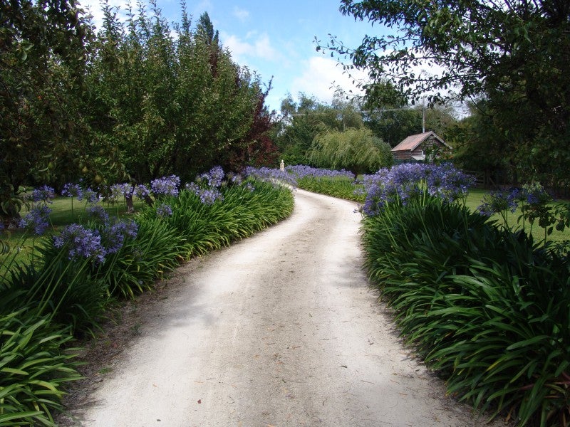2 ANDERSONS LINE, Clareville, Carterton - Carousel 26