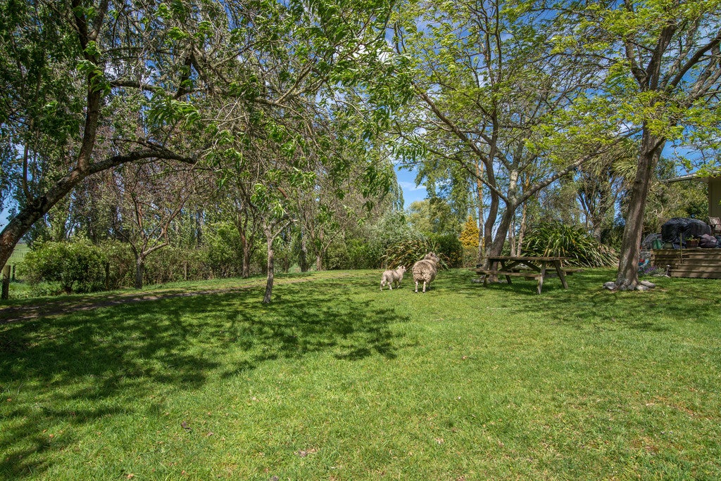 165 Halcrow Road, Reporoa - Carousel 2