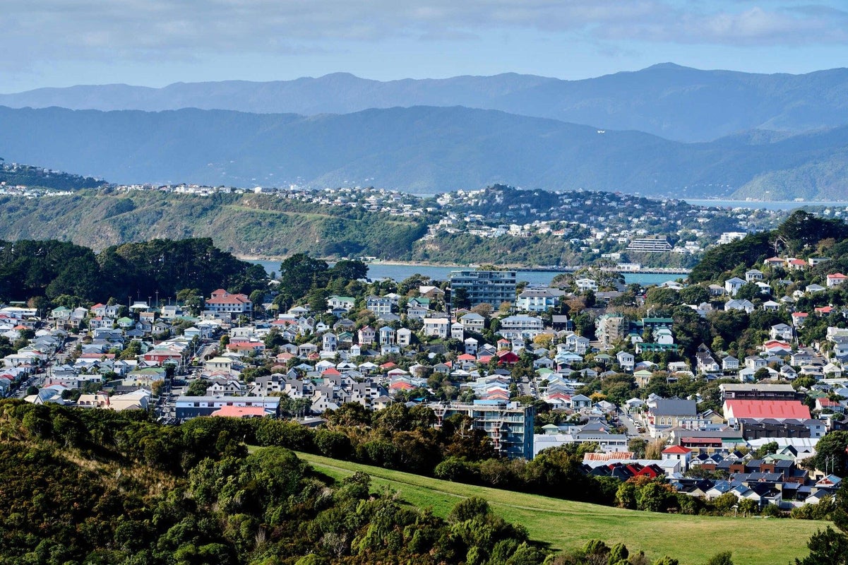 24 Havelock Street, Mornington, Wellington - Carousel 2