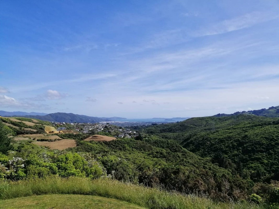 55 Kaitangata Crescent, Kelson, Lower Hutt - Carousel 15