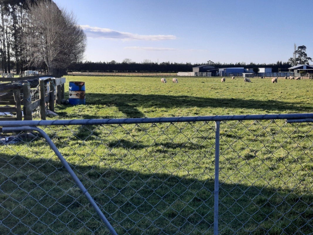 161 Richard Pearse Drive, Temuka, Temuka - Carousel 2