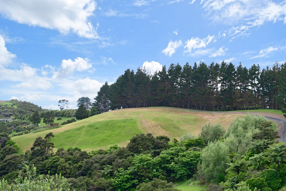 1612C PAKIRI RD, Tomarata, Wellsford - Carousel 1