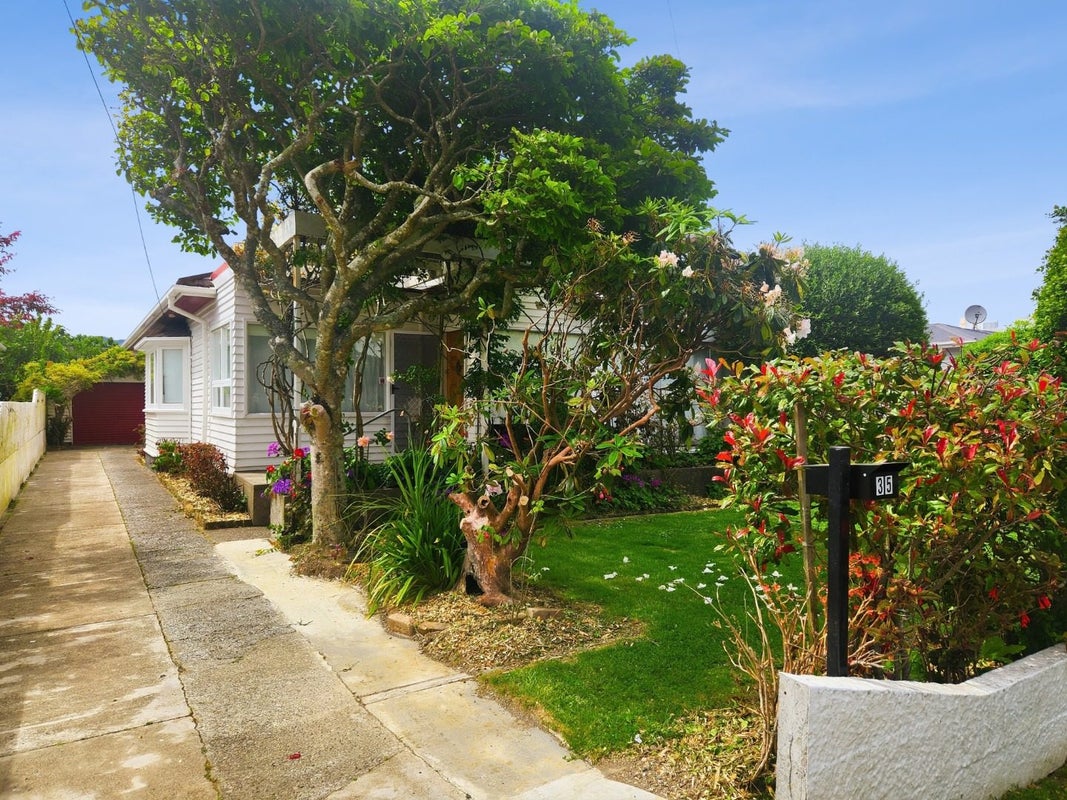 35 Ropata Crescent, Boulcott, Lower Hutt - Carousel 18