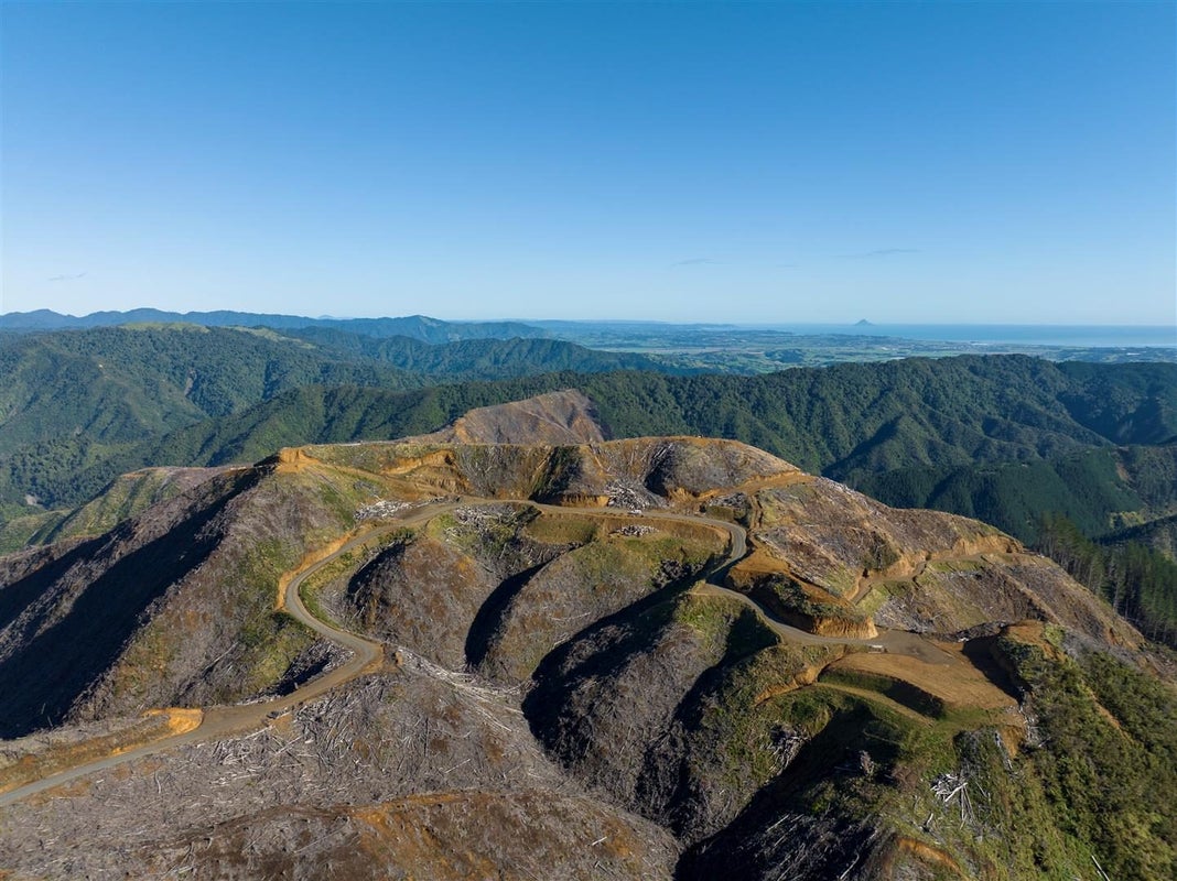 0 Taheke (Block Access) Road, Toatoa, Opotiki - Carousel 17