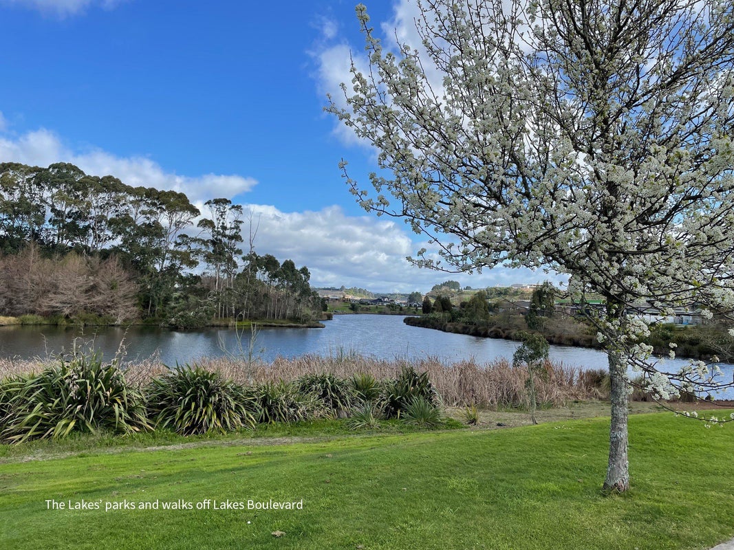 90 Puhirake Crescent, Pyes Pa, Tauranga - Carousel 19