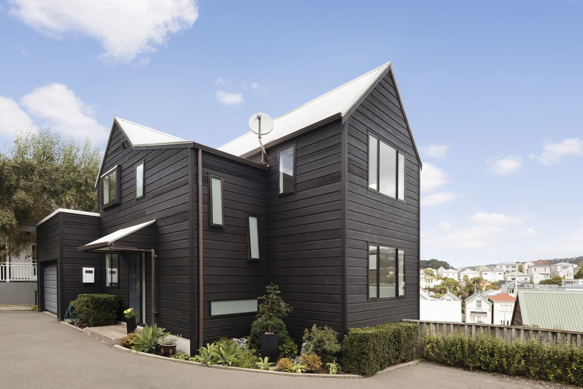 6/85 Elizabeth Street, Mount Victoria, Wellington - Carousel 1