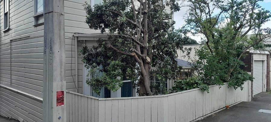 142 Austin Street, Mount Victoria, Wellington - Carousel 1